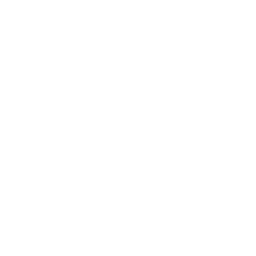 Design & Features