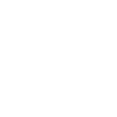 Business Icon