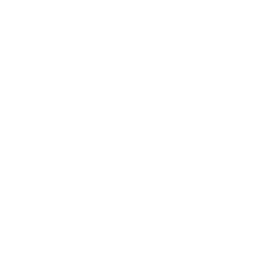 Business Icon